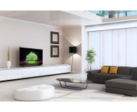 LG OLED48A13LA - 663097 - zdjęcie 18